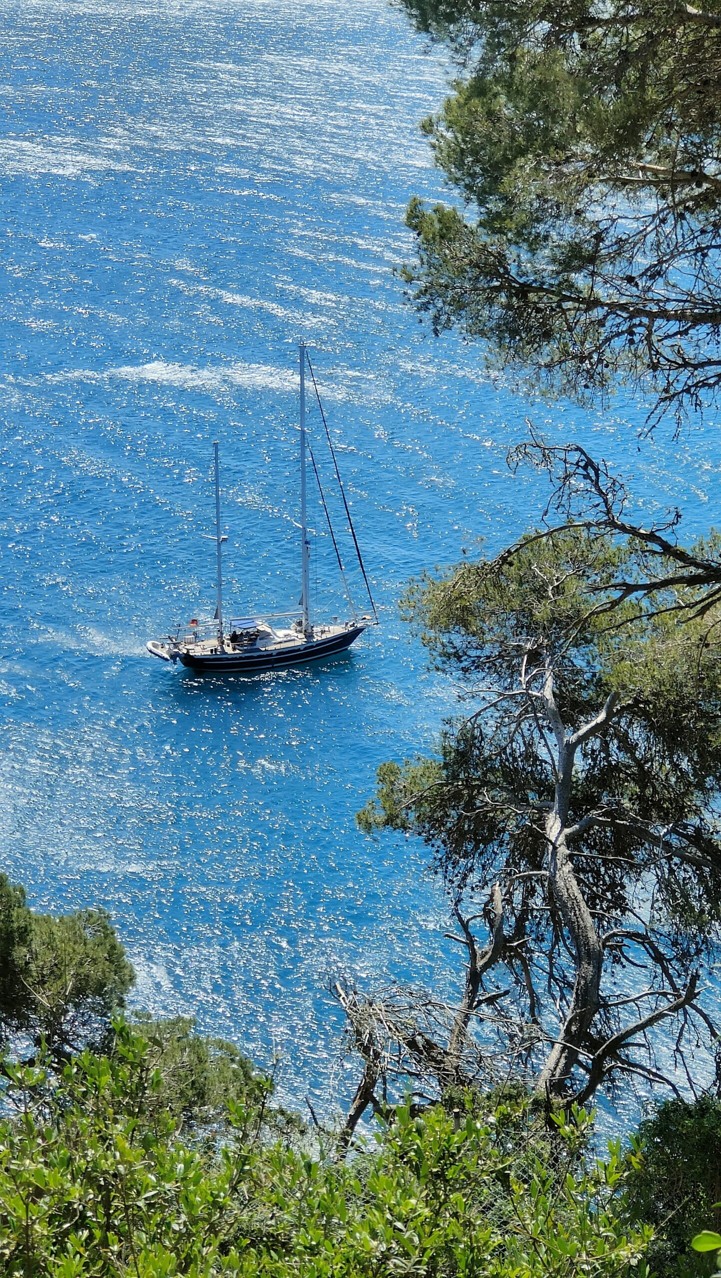 Navegat pel mar